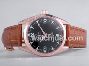 Replica Omega Railmaster Automatic Rose Gold Case